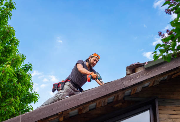 Best Roof Maintenance and Cleaning  in American Falls, ID