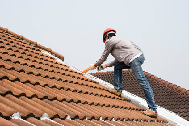 Best Solar Panel Roofing Installation  in American Falls, ID